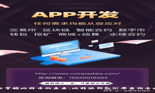 轻松掌握比特币的未来：比特派钱包汇率查询全攻略