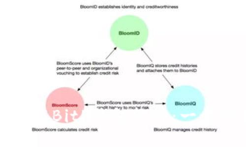 如何安装BitP钱包软件：一步步指南